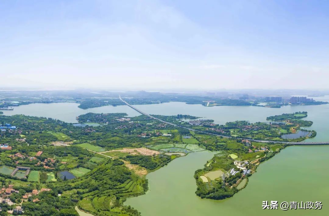 碳达峰金融新消息,碳达峰金融