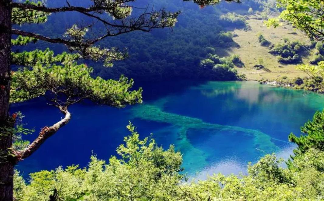 房子客厅朝东好不好,新房开窗好吗