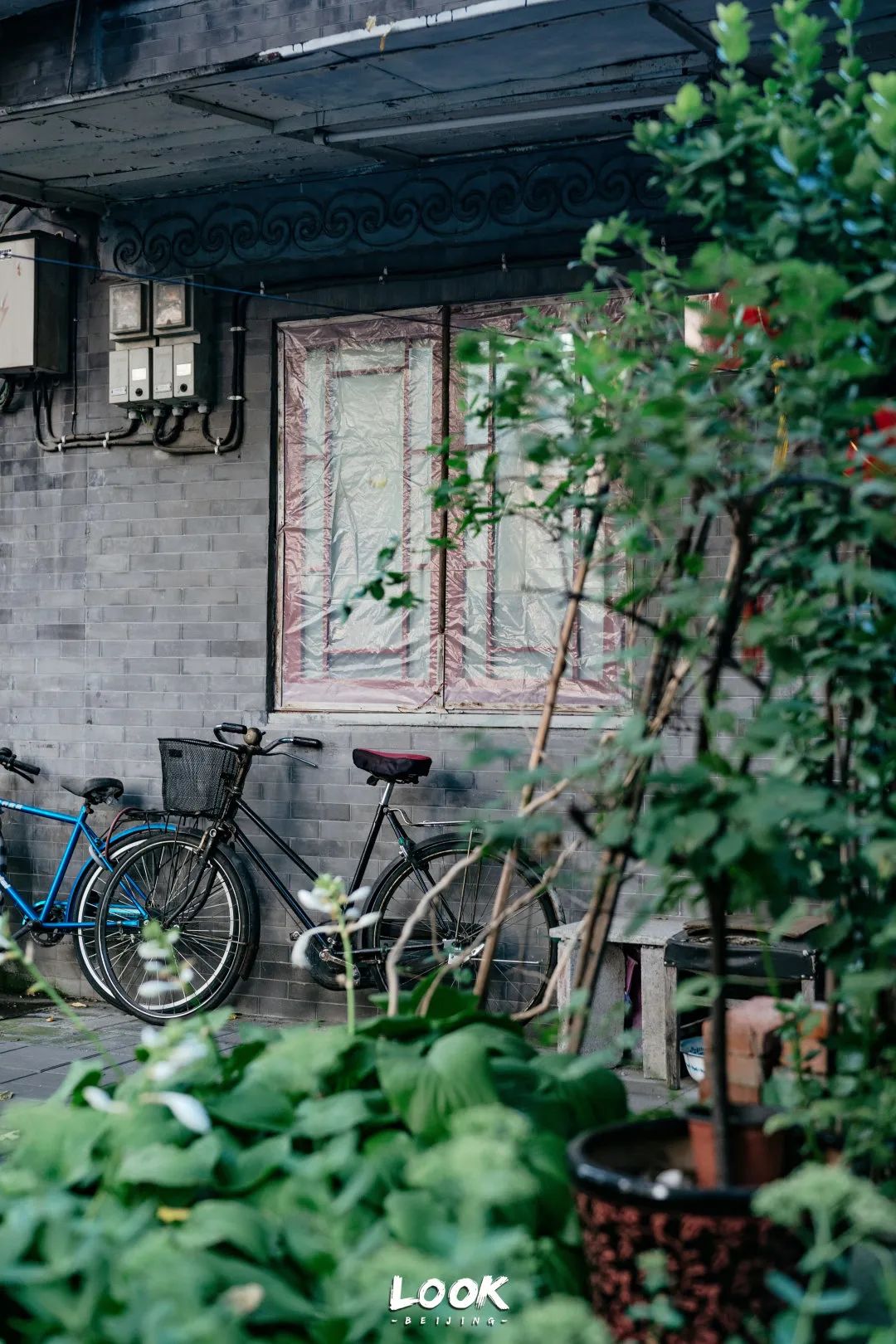 北京什刹海晚上游玩路线,北京什刹海风景秋天攻略