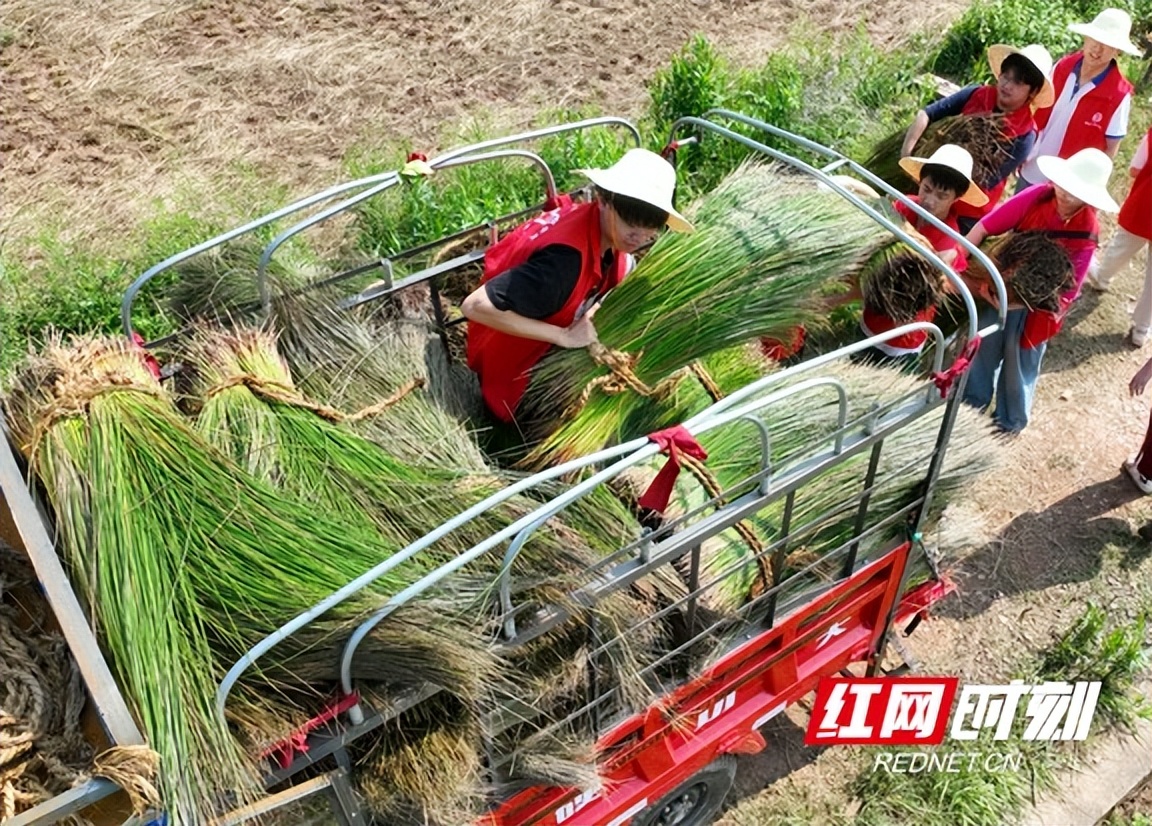 助农电商助力乡村振兴,投身农村电商助力乡村振兴