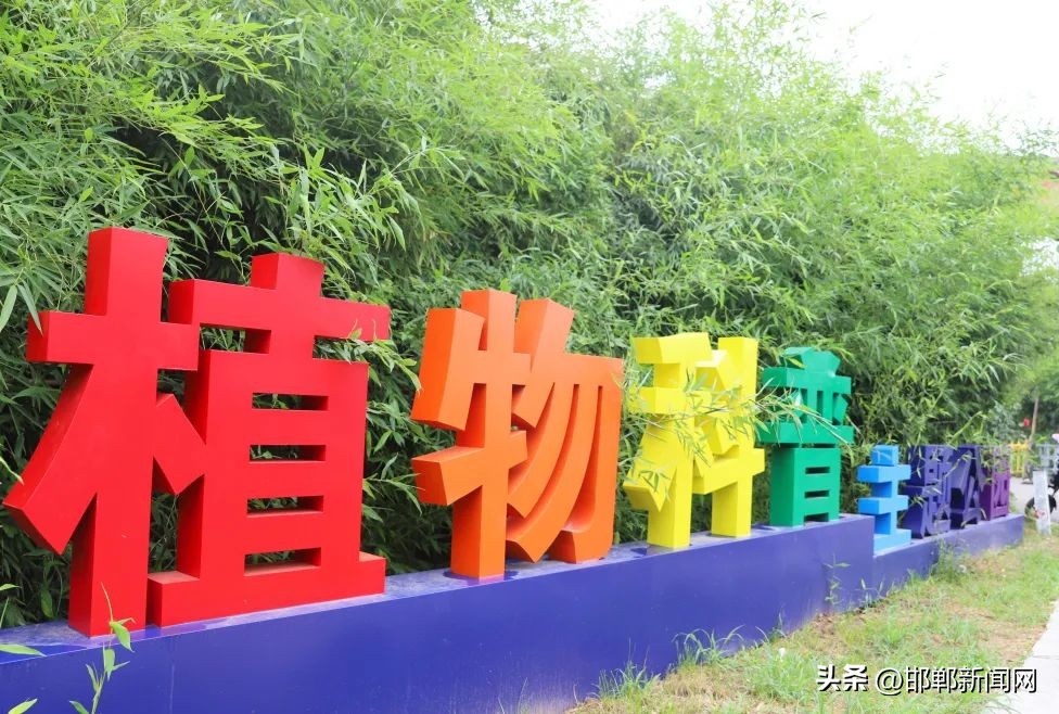 峰峰网红打卡地,寓教于玩幼儿园