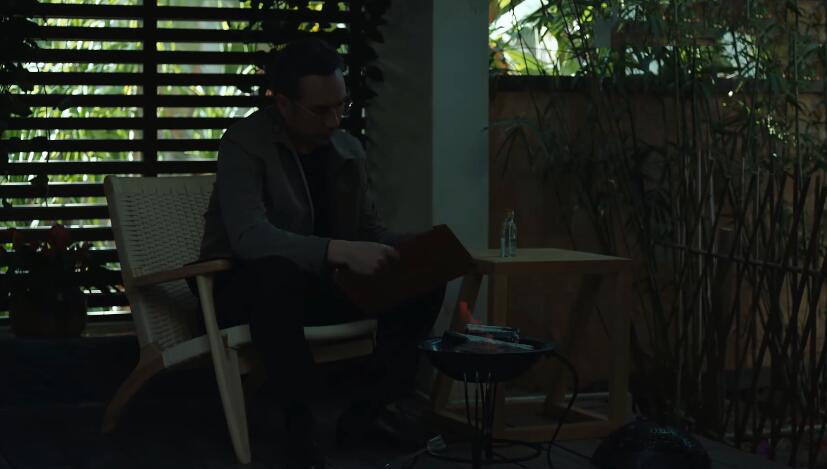 女心理师里f档案到底是什么,女心理师f档案是啥