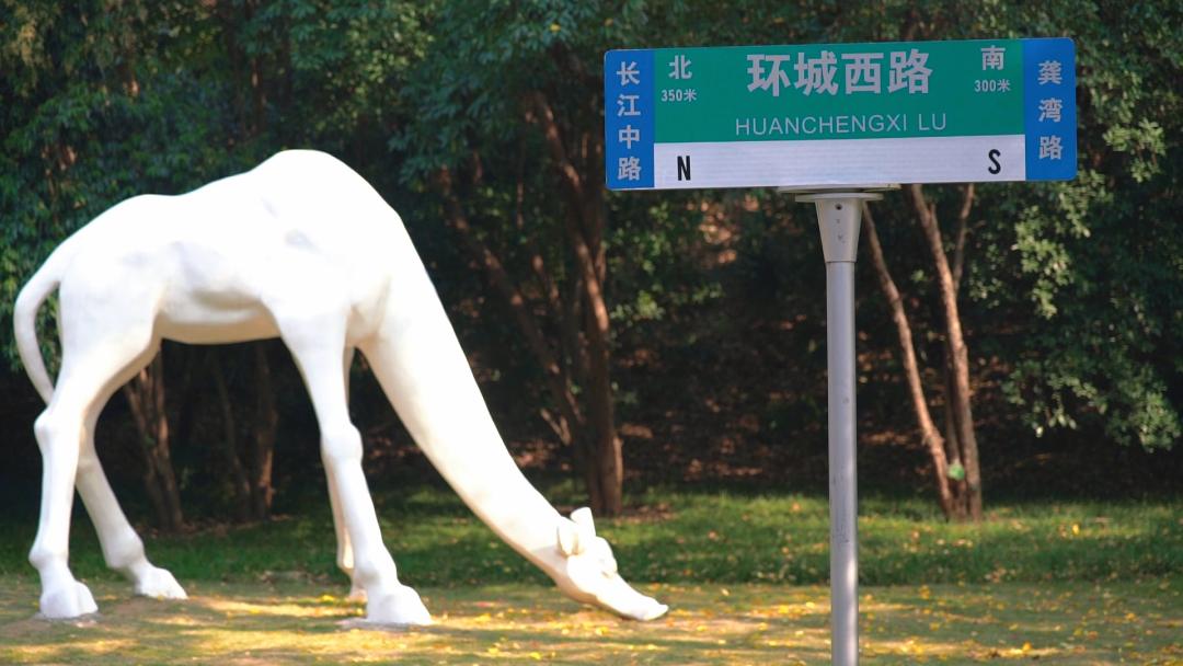 合肥夜爬蜀山攻略,合肥蜀山夜爬路线