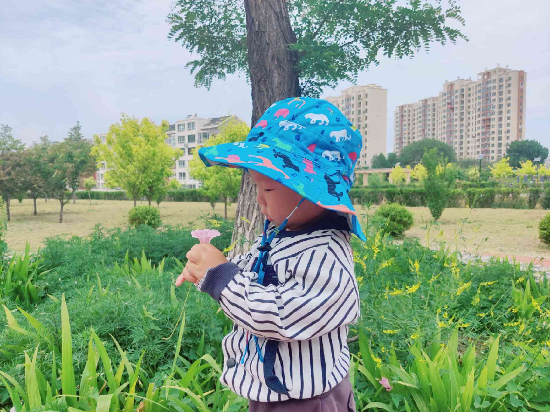 外出旅行遛娃必备物品图片,带宝宝旅行的必备好物