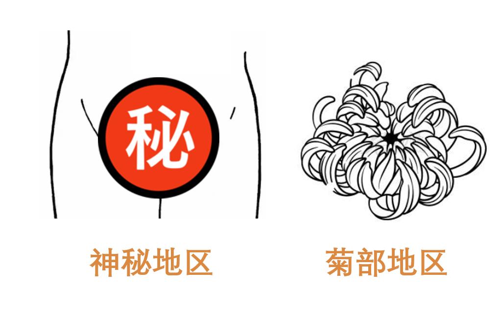 鼻毛、胸毛、*处私**的毛能脱吗？早知道早受益啊