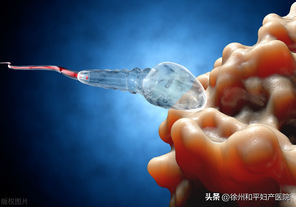 老公查出无精症,老公查出弱精但怀孕了
