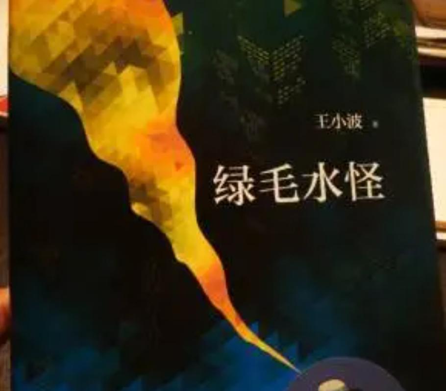 王小波去世前照片,王小波死前邮件