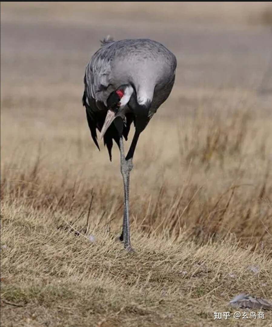 山海经2012白话全译彩图版pdf,山海经海外西经是指哪里