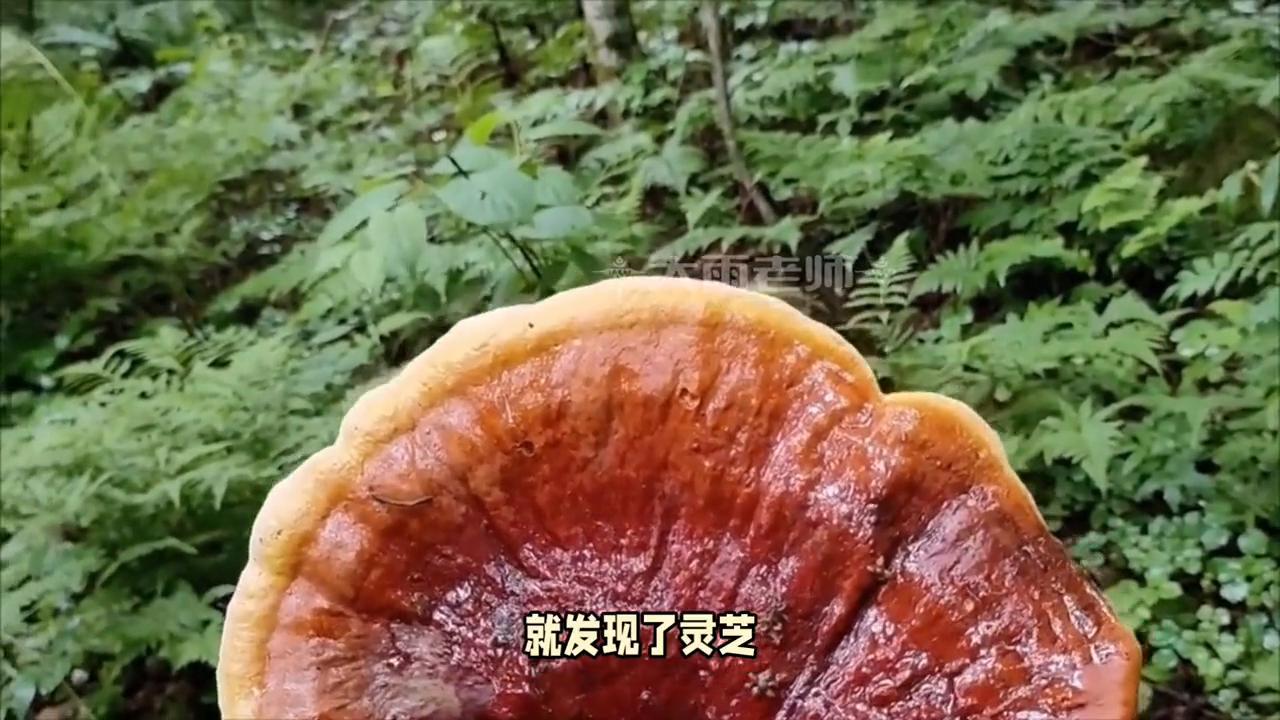 亲子教育直播,亲子教育机构加盟