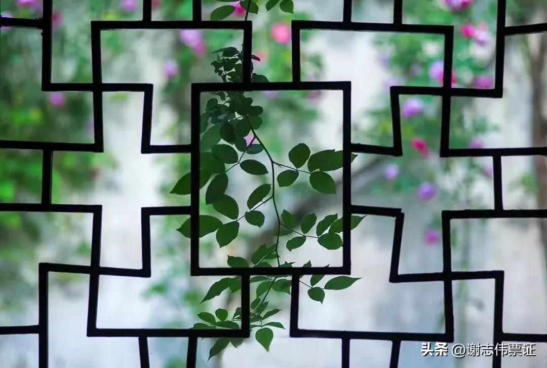 苏州古典园林各个景观特色,苏州园林风景美感极致