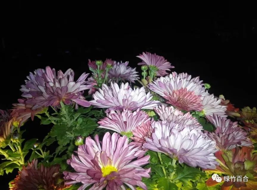 阳澄湖大闸蟹蒸多久,阳澄湖大闸蟹