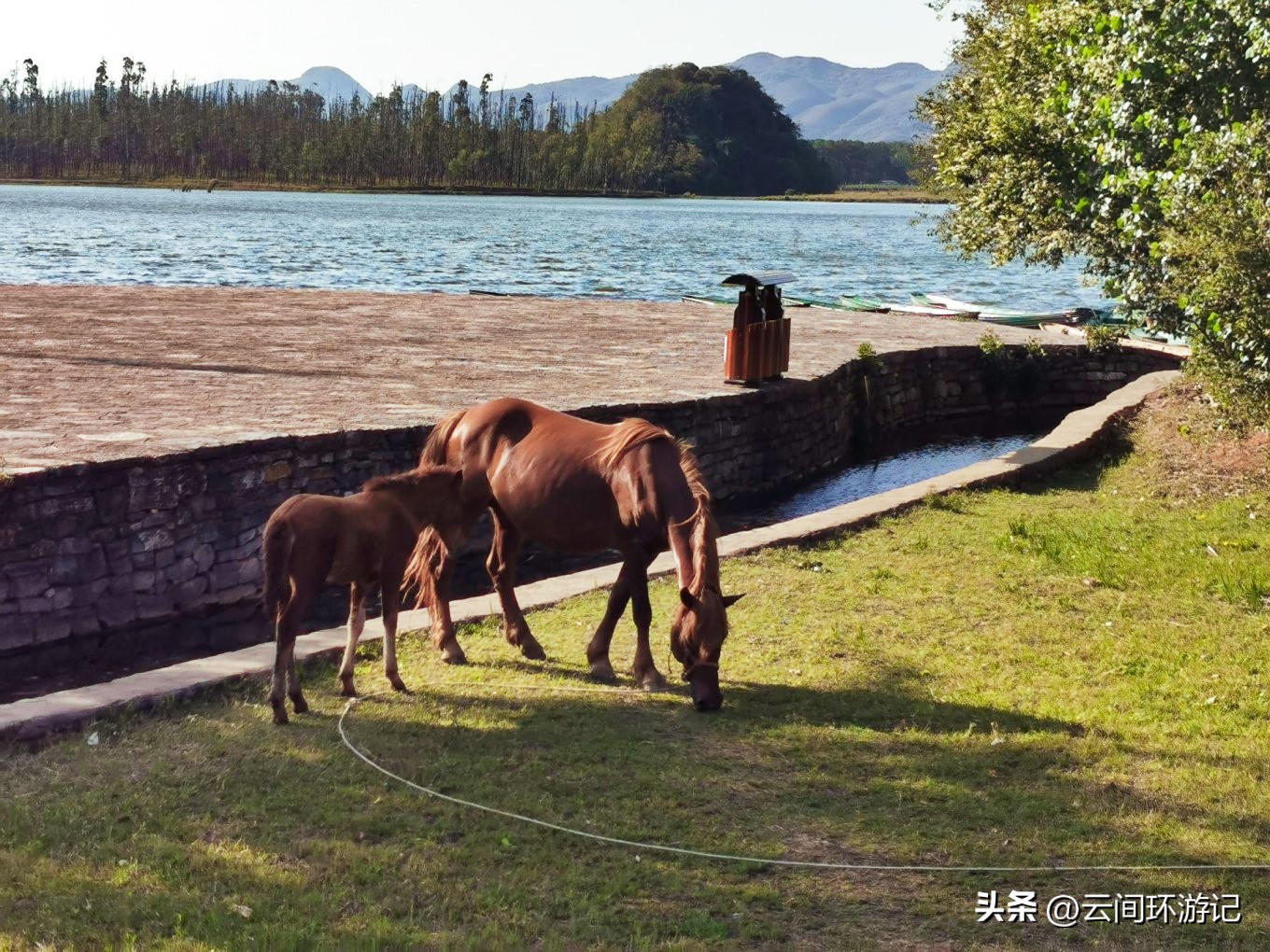 「流离在核酸检测时代的旅行」(普者黑）