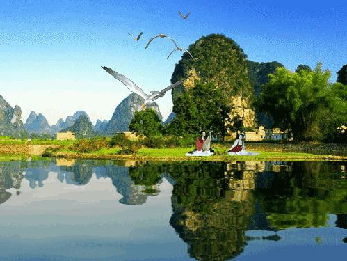 世界最美山水花鸟高清图片,精美山水花鸟图片大全