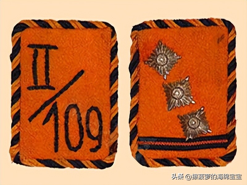 纳粹冲锋队用的什么枪,纳粹德军军衔图解