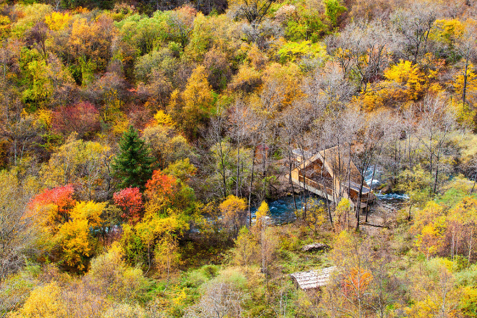 一天来回！别名“小九寨”的油画秋色、高山草甸，一站式游玩到底