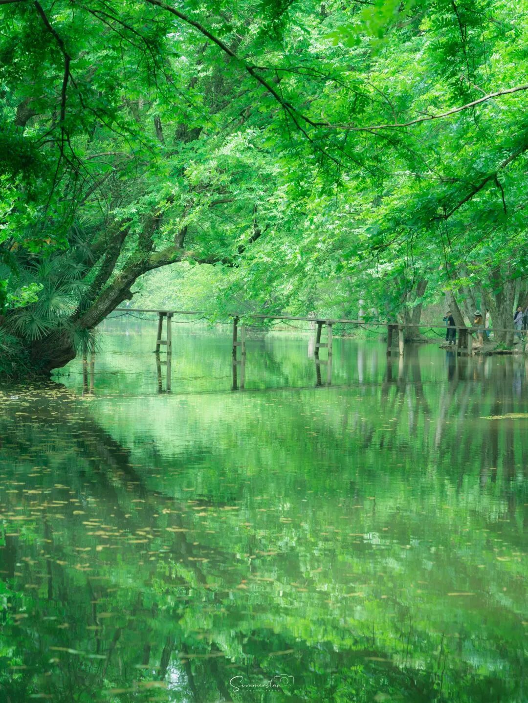 夏天凉快风景好又有水的旅游景点,夏天旅游景点哪里最好玩