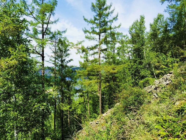 龙江县龙江第一湾,龙江第一湾山顶全貌