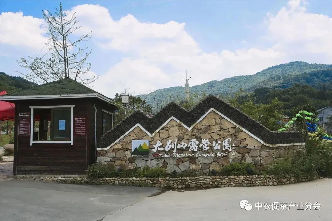 娌冲崡淇￠槼绾㈠煄鑼朵埂,鏂板幙绾㈠煄鑼朵埂