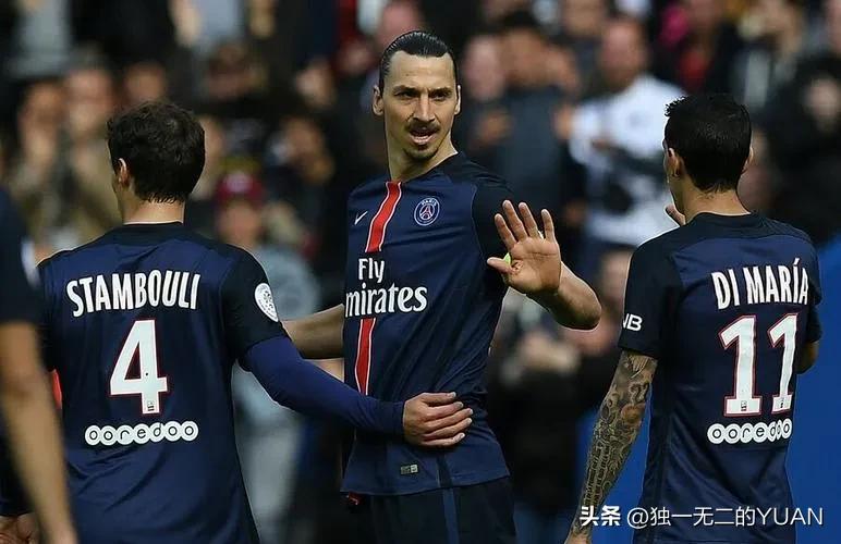 伊布现役足坛打架谁最厉害,伊布足坛四大狠人