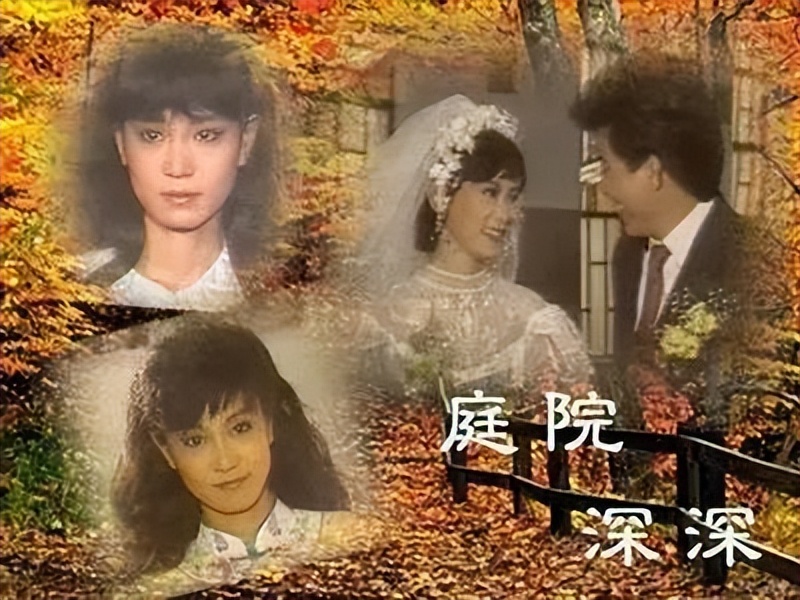 这三本琼瑶的小说，资深书友推荐，80%以上的书友没看过！