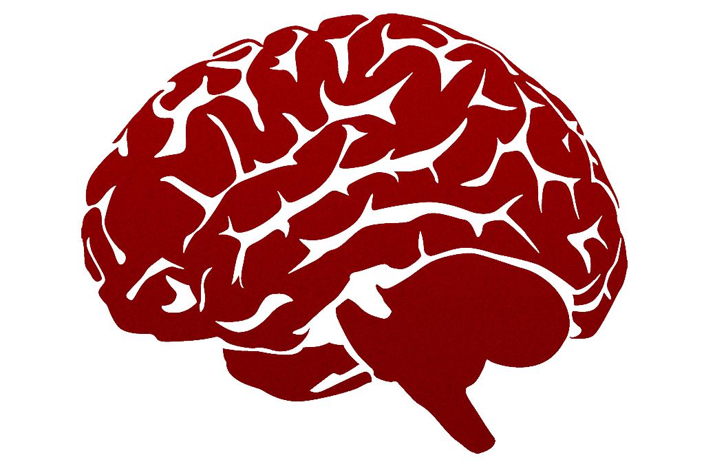 静进医生：不同种族智力水平有差异吗