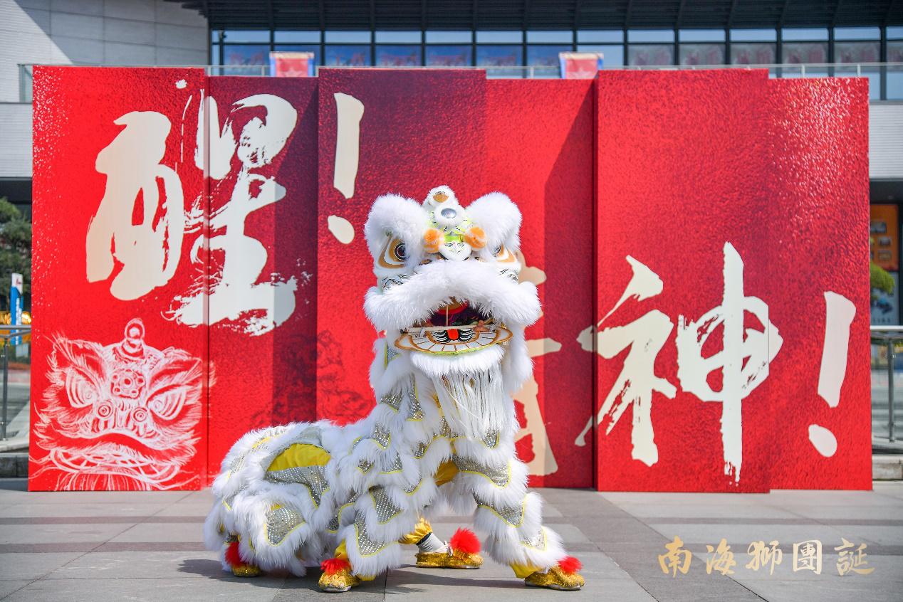 海狮动物总动员,海狮狮队