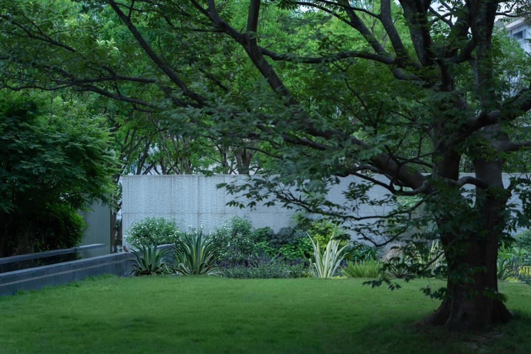 重庆万科未来星光,重庆万科未来星光最新照片