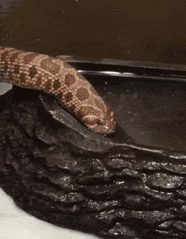 下雪天摔跤容易摔倒哪,下雪地上好滑大家注意安全