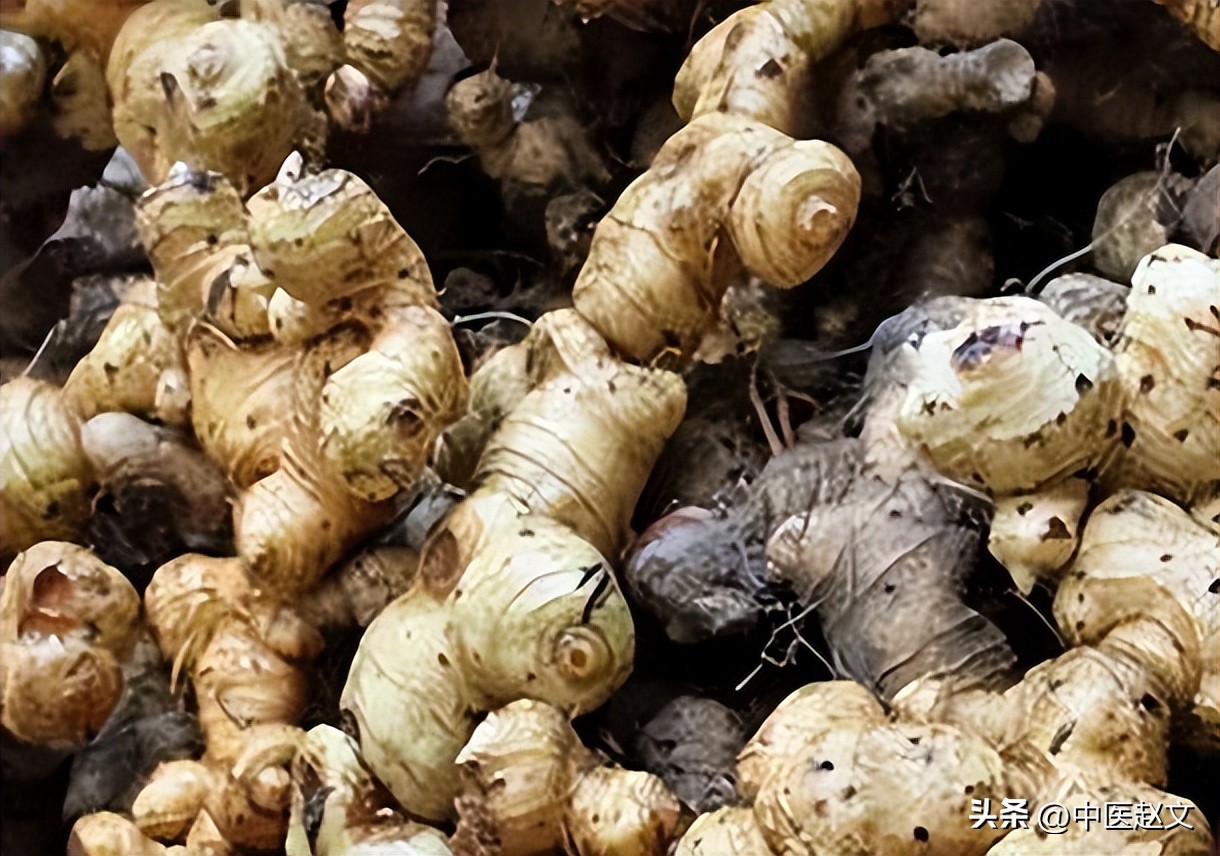 肾精亏虚怎么调理肾精,倪海厦治疗肾精亏虚的中药方子