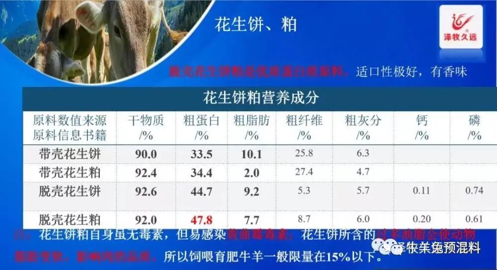 豆粕暴涨严重影响养猪业,豆粕疯涨能用什么替代