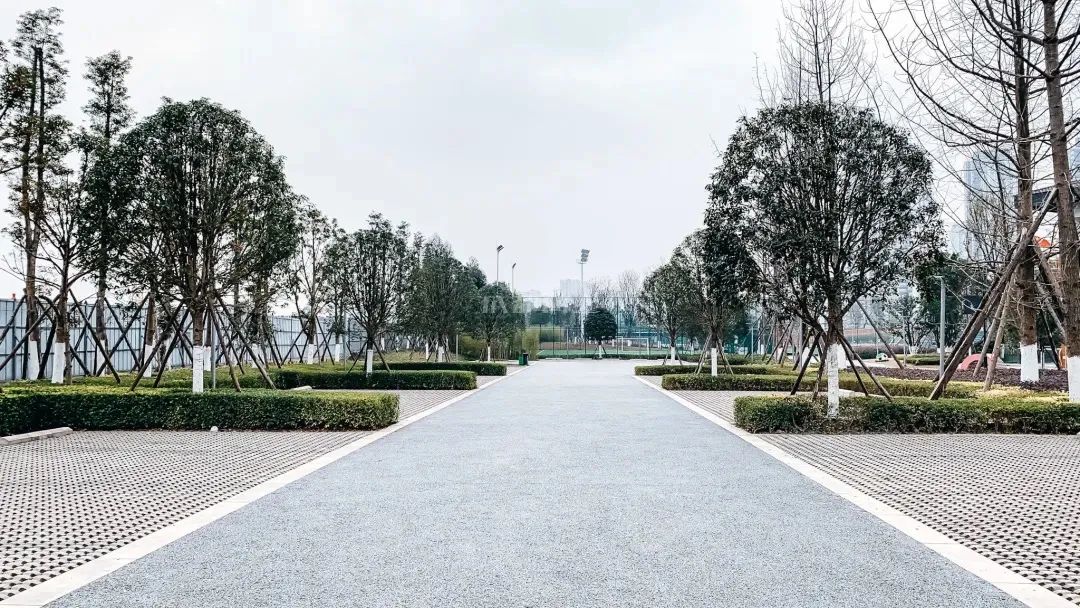 成都成华体育公园,成都成华区体育公园