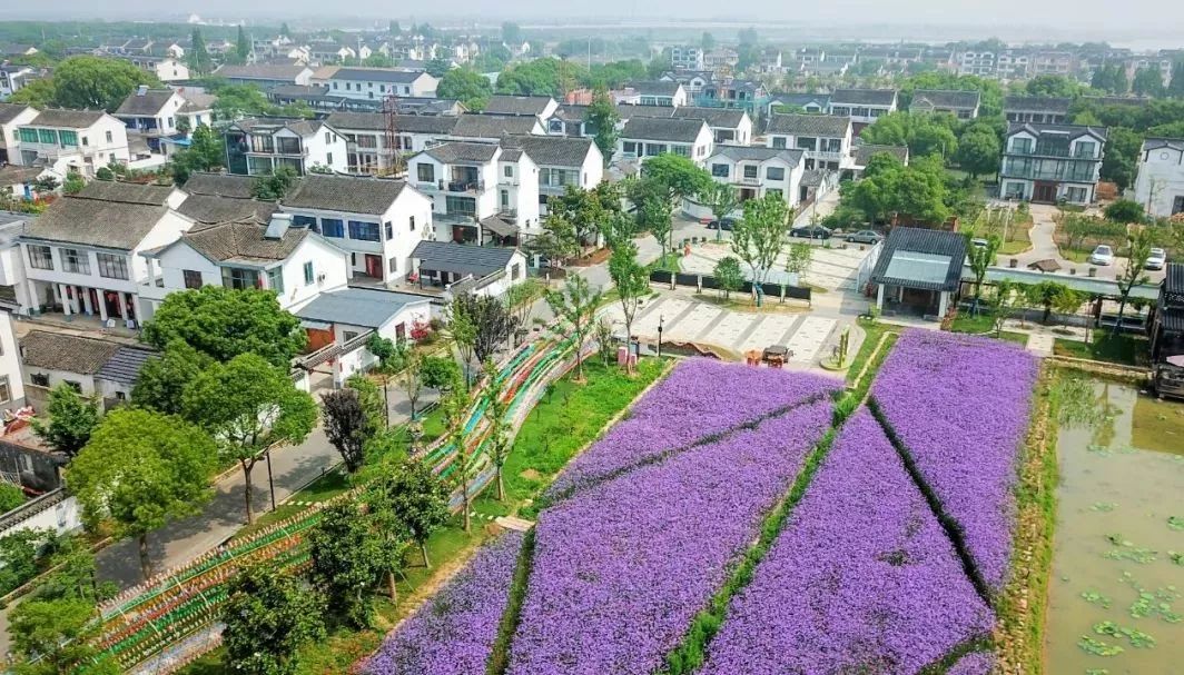 解析全国16个整村运营,解码全国16个整村运营经典案例