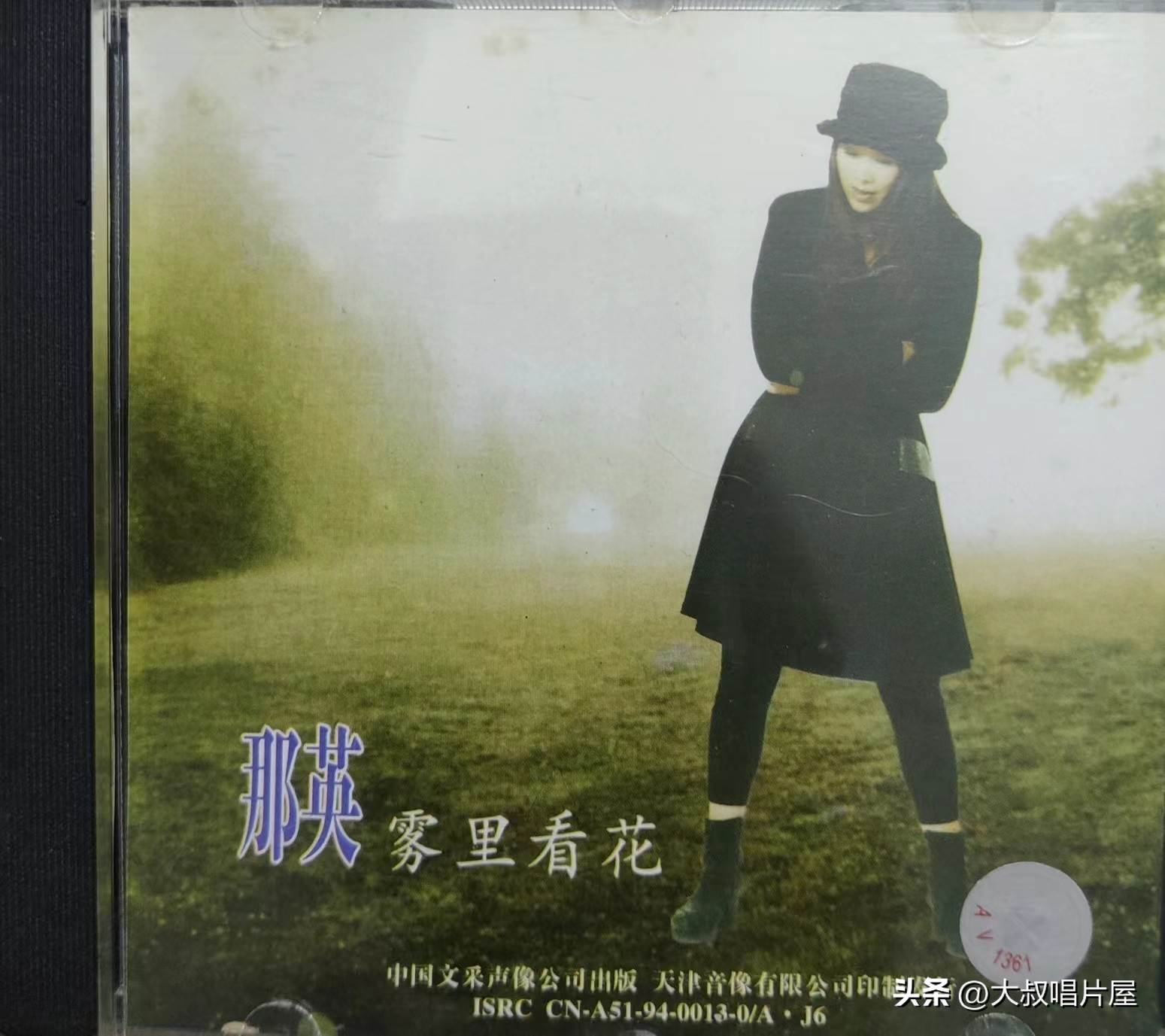 1993年中国神曲,1993年华语乐坛神曲大爆发