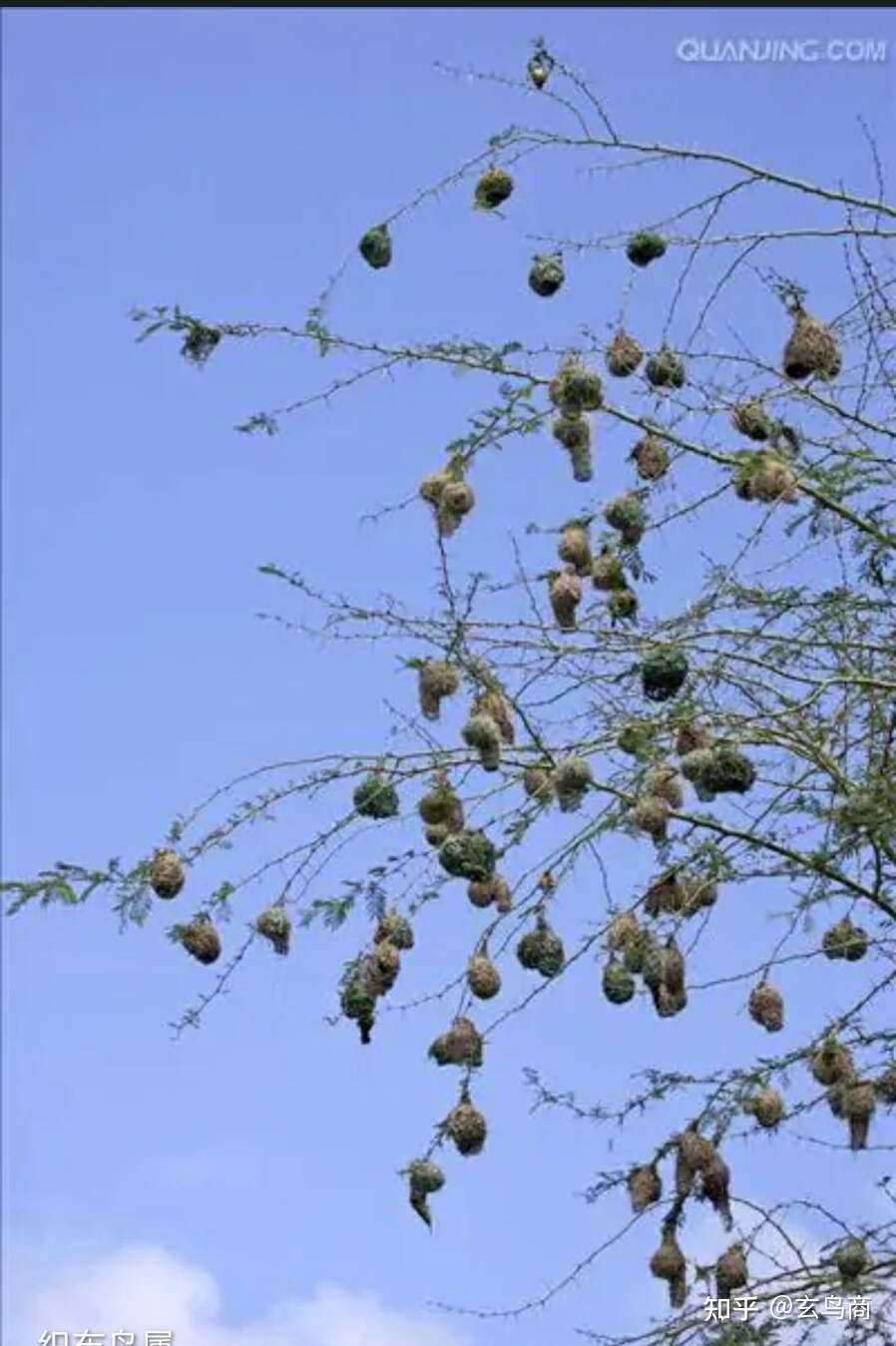 山海经2012白话全译彩图版pdf,山海经海外西经是指哪里