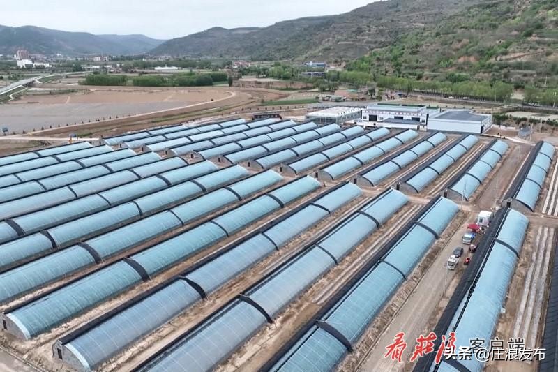 庄浪重大项目,庄浪县重大项目建设