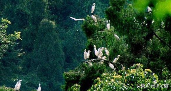 楼上千年古寨,漫步幽悠古寨图片