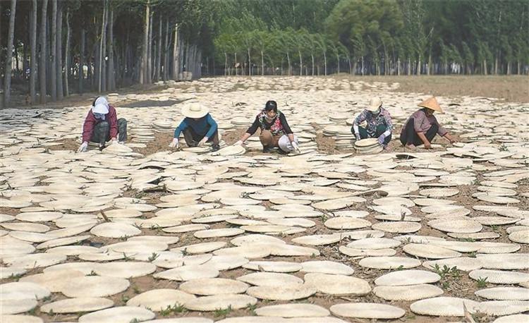 廊坊公交新闻头条,廊坊早班车广播