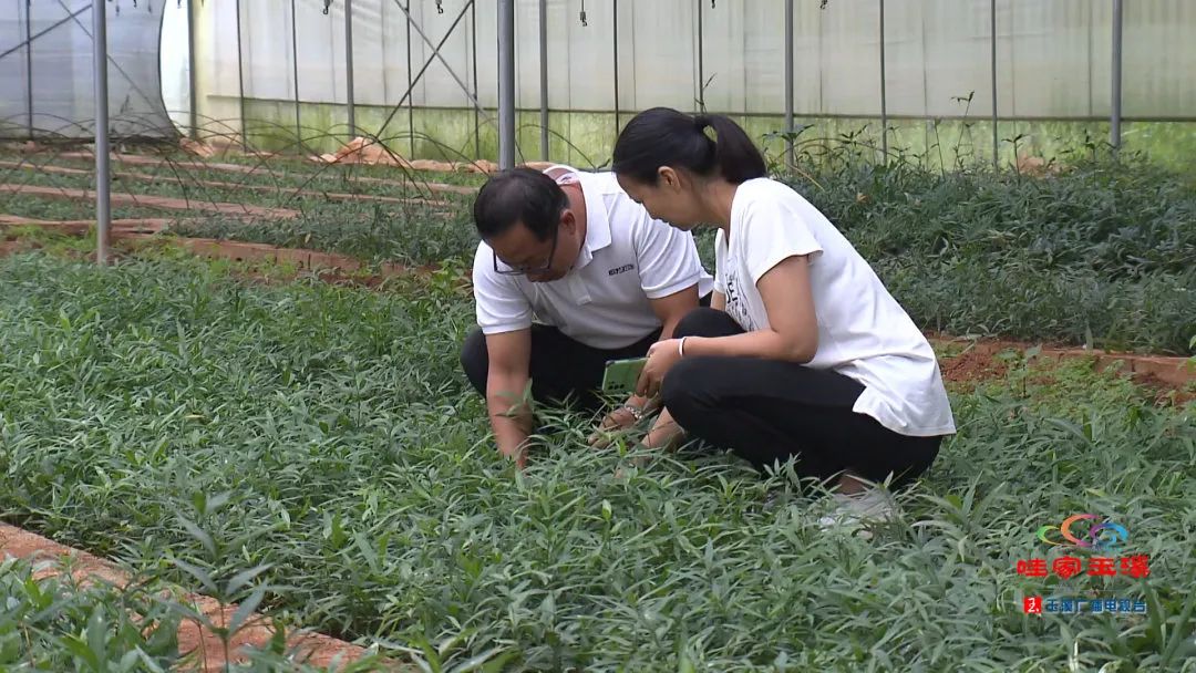 一线调研看发展,一线走访调研