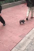 走路走累了坐下歇歇,走路累了继续走就不累了