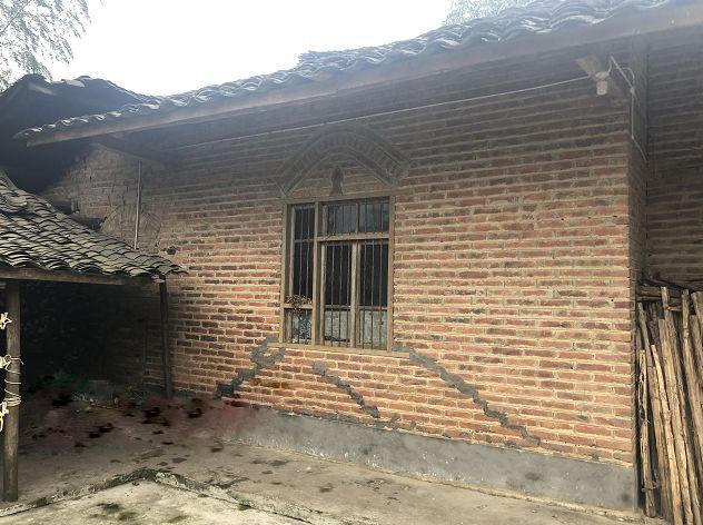 四川小伙在国外要饭完整视频,在巴西流浪的四川小伙