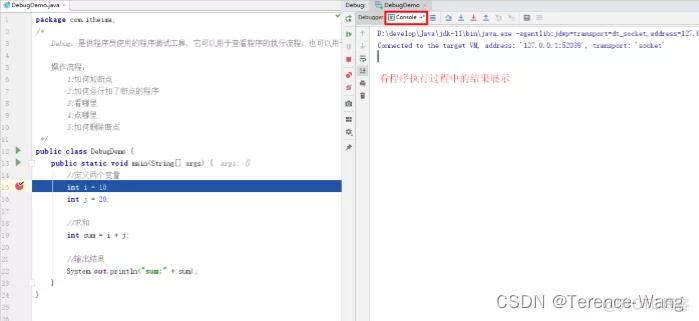 信狮教育java概述,java程序员概述