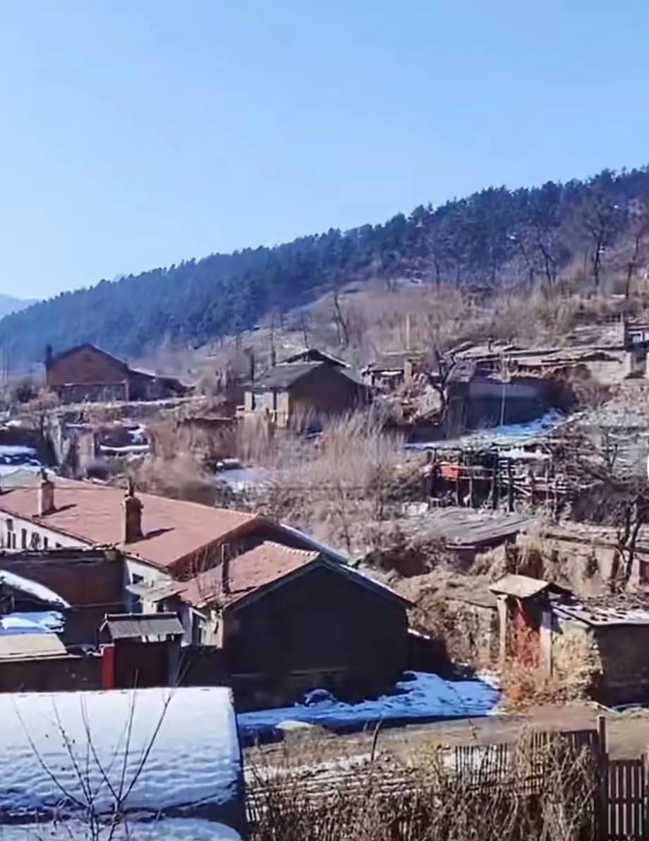 辽东小镇——遥远的田师付（之三）：隐，生活像羔羊一样的沉默