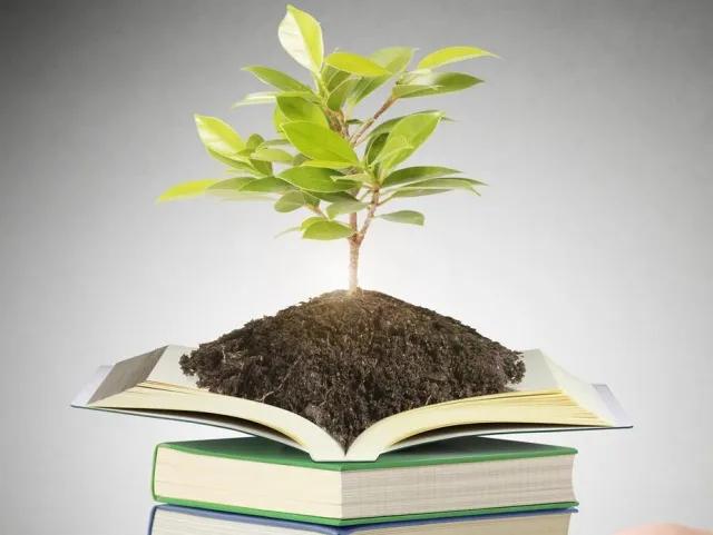 如何让人才发挥自己的最大作用,如何让人才充分发挥作用