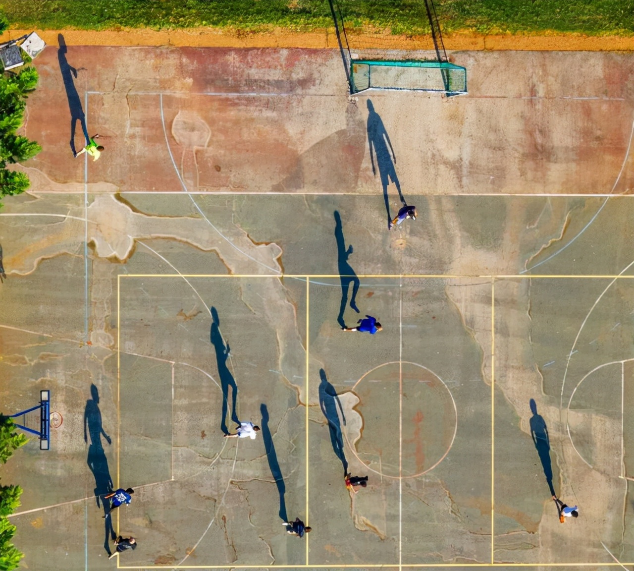 80个神奇的真实照片，不高兴的狗子，崎岖的铁路，倒立劈叉拉筋