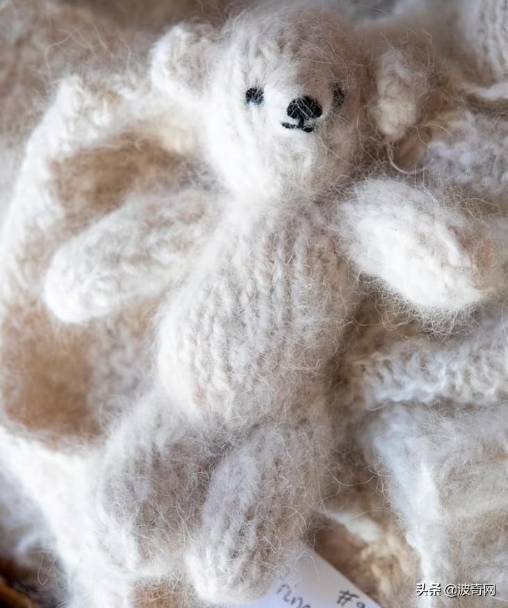 萨摩耶开始掉毛,萨摩耶铲屎官报道