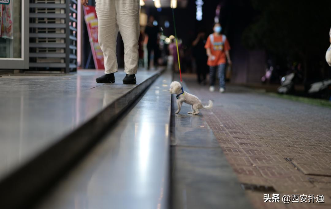 高新大都荟摆摊夜市在哪个位置,高新大都荟摆摊