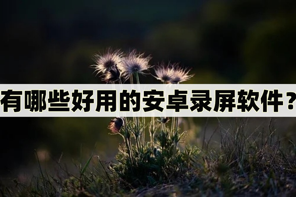 安卓最好用的录屏软件,推荐一款安卓好用的录屏软件