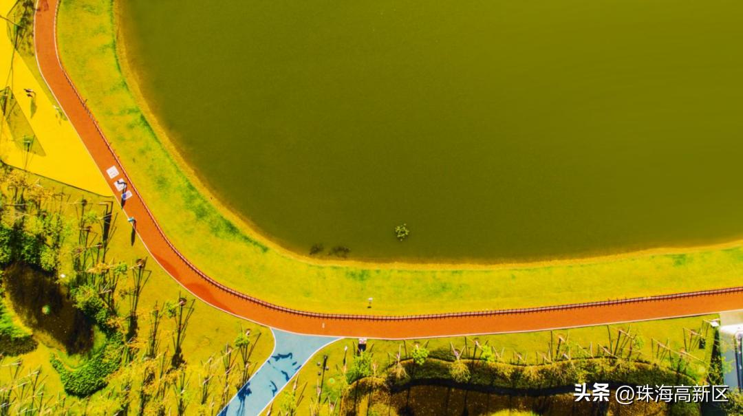 登山赏景、运动健身…快来打卡高新区秋游好去处！