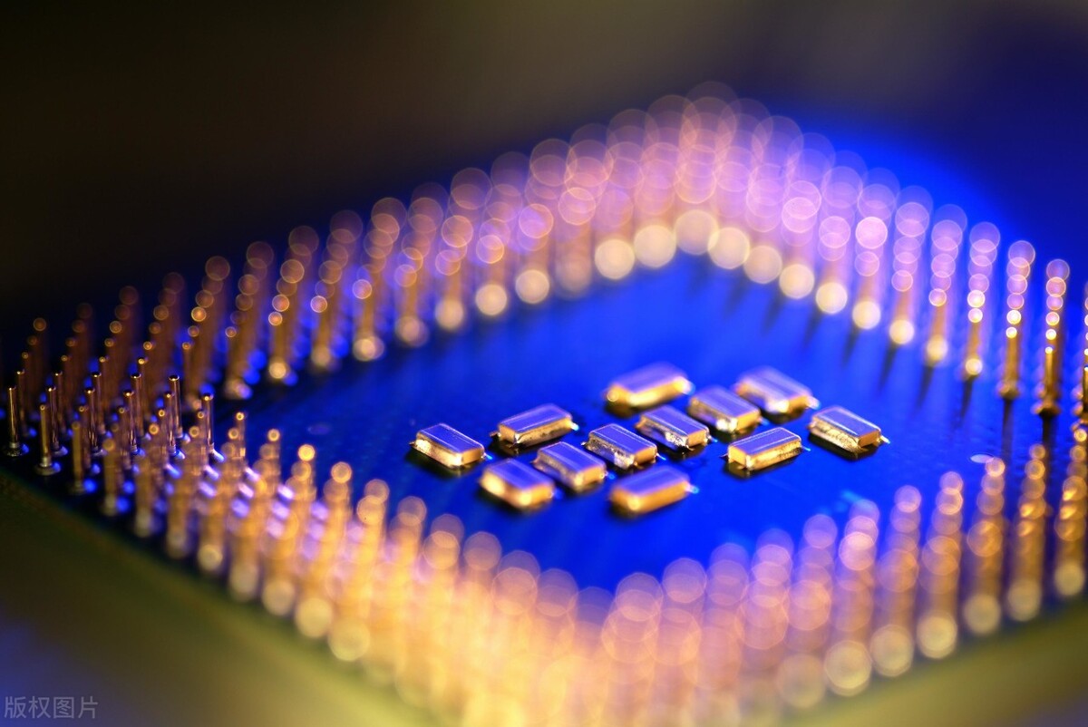 荷兰官方回应,荷兰政府回应美国