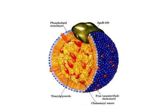 进口他汀怎么选,进口他汀比国产副作用少吗